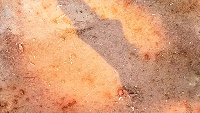 Helena &mdash;  Lucy &mdash;  and Veronica Enjoy a Fetish Fantasy Together