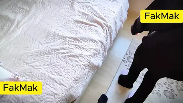 ′Irani Slime Story: Asian Girl &mdash;  Quick &mdash;  No Words′