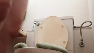 Various Toilet Scenes, Including Public Toilets