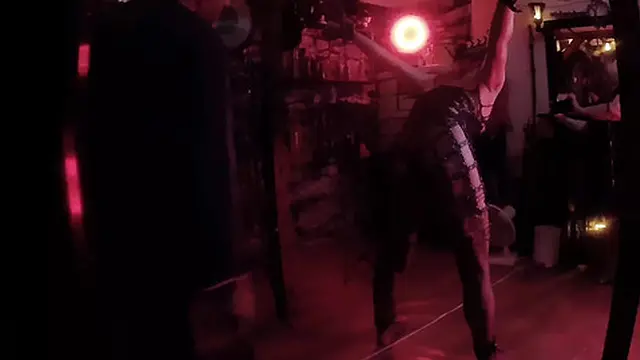 Allegro′s First Encounter with Lanista Bear