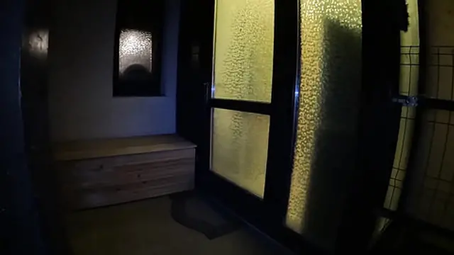 Steamy Seducer in Stockings & Fur Coat - Close Call with Curious Onlookers 296