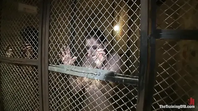 Day 2 Final Two Slaves