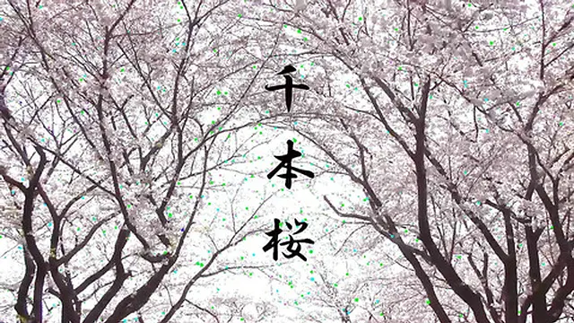 Hot Asian Babe 20696