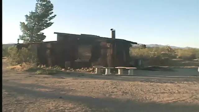 Jollee from Sodom: Explicit Pleasures